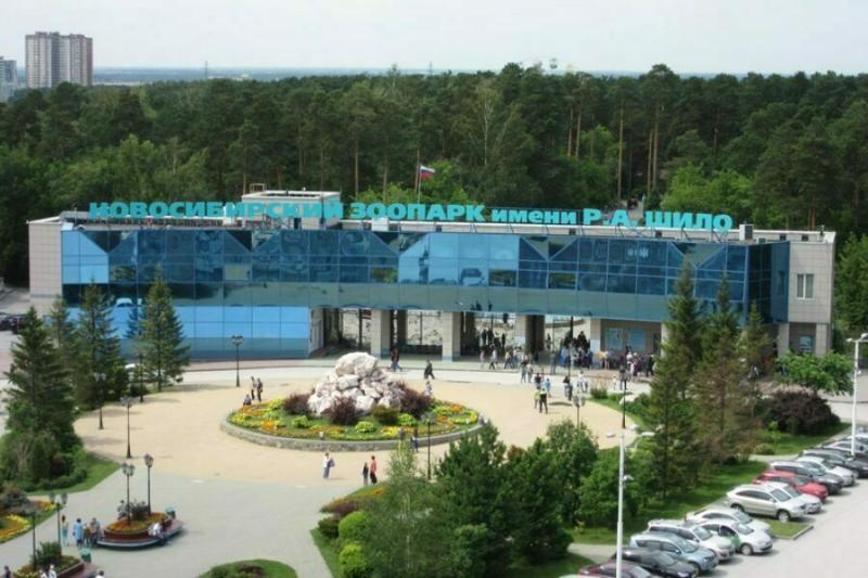 В Новосибирске изменилось время работы зоопарка