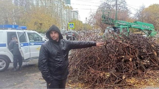 Пень возьмут на экспертизу: жители тихого центра Новосибирска вызвали полицию из-за спиленного ясеня