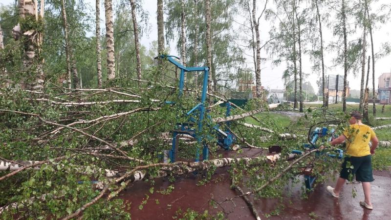 Энергетики филиала «Россети Центр» - «Ярэнерго» устраняют локальные нарушения электроснабжения после шквалистого ветра 
