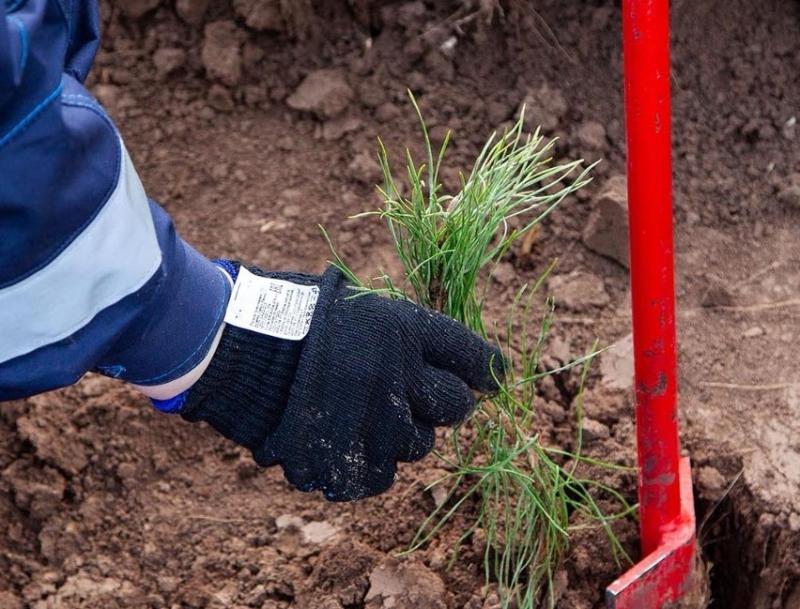 KAMA TYRES активно работает над уменьшением негативного воздействия на окружающую среду