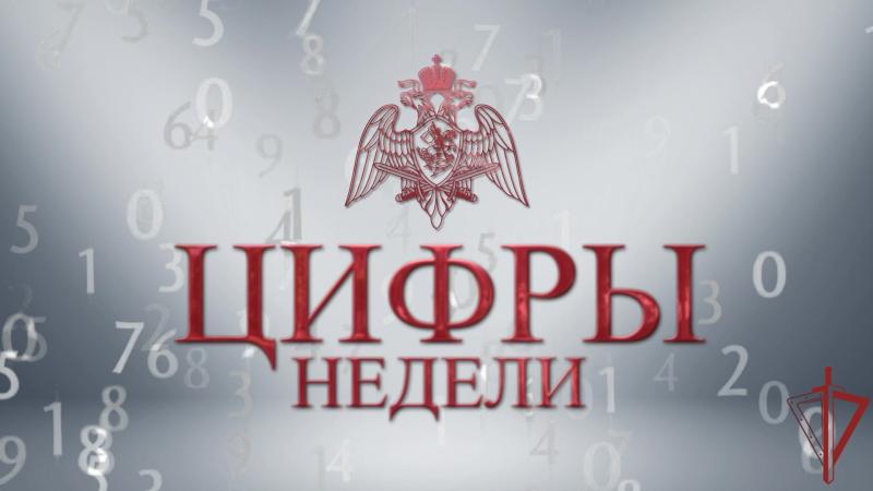 На прошлой неделе столичные росгвардейцы обеспечили безопасность около 250 массовых мероприятий, проходивших в Москве.