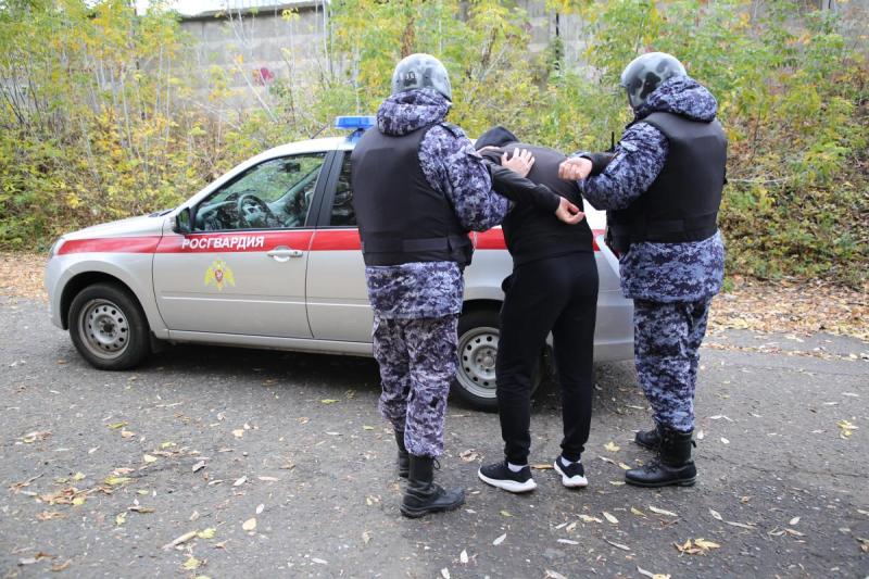 В Мордовии за прошедшую неделю экипажи Росгвардии более 80 раз выезжали по сигналу 