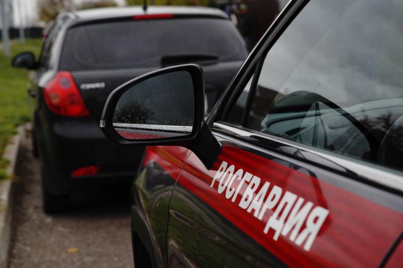 В Мордовии патруль Росгвардии задержал нетрезвого водителя