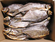 О пресечении торговли рыбной продукции без документов