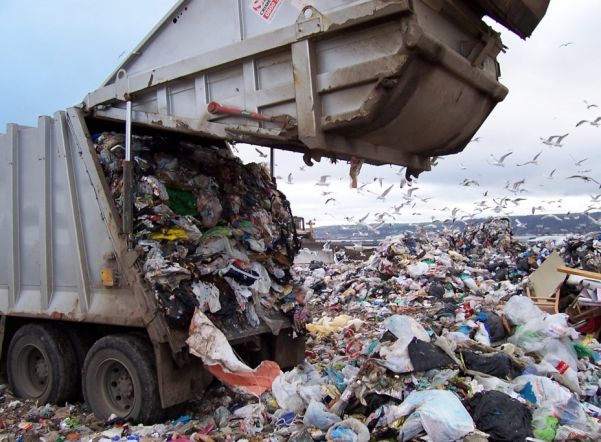 Минприроды: опасные отходы незаконно складируются на полигоне «Новоселки»